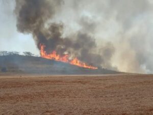 Aprosoja critica decreto que pune produtores rurais por incêndios