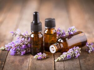 7 benefícios da planta lavanda para a saúde