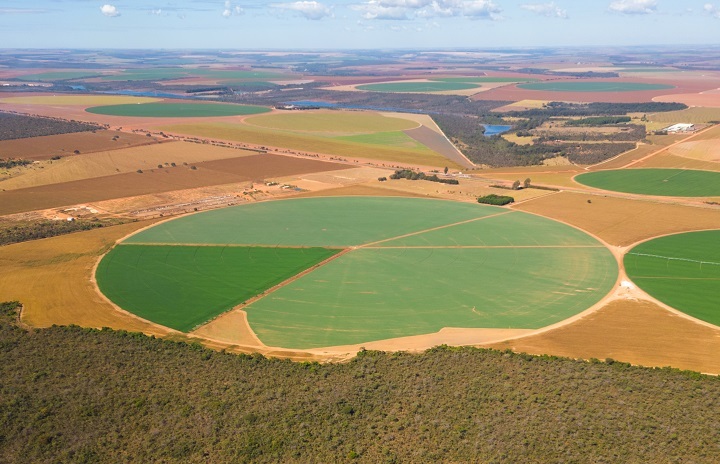 ITR 2024: proprietários rurais devem observar prazo da declaração para evitar transtornos e custos adicionais / Foto: CNA