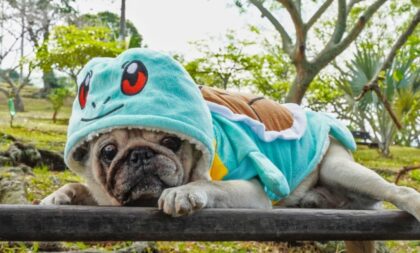 8 nomes para cachorros inspirados em Pokémon