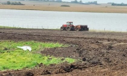 Fortes chuvas freiam semeadura do arroz na Região