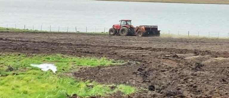 Fortes chuvas freiam semeadura do arroz na Região