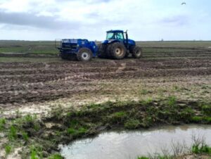 Semeadura do arroz: Região tem pior desempenho no RS