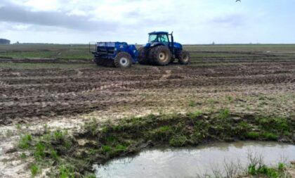 Semeadura do arroz: Região tem pior desempenho no RS