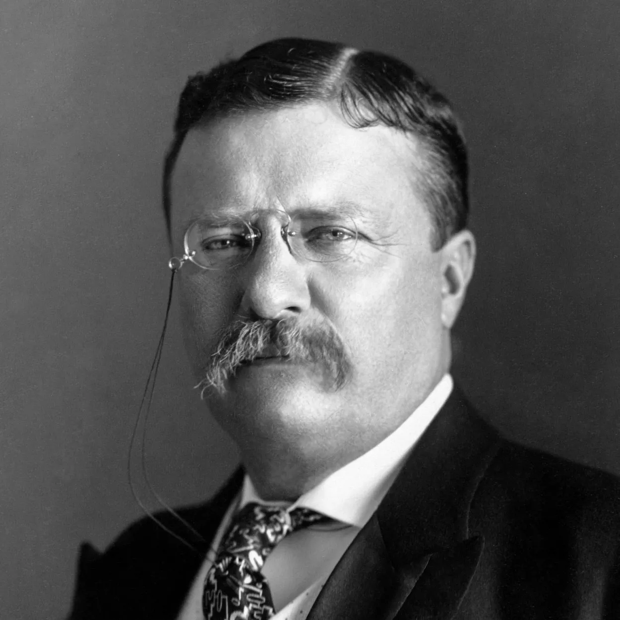 Theodore Roosevelt / Crédito: The White House