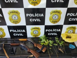 Pés de maconha: Polícia de Paraíso do Sul prende homem por tráfico