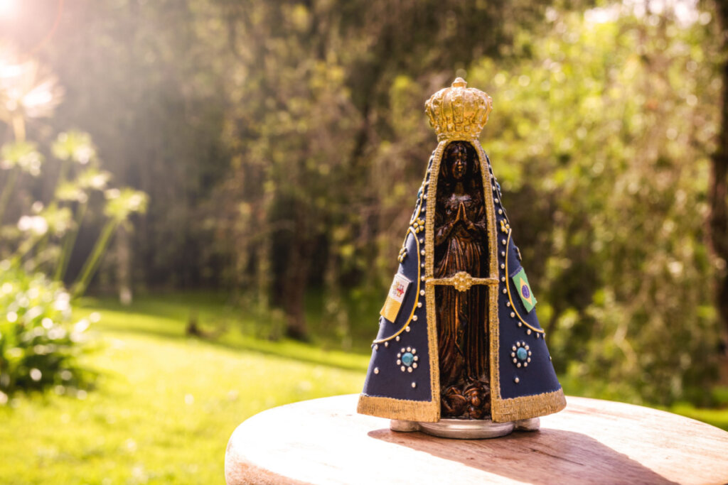 Imagem de Nossa Senhora Aparecida em cima de pedra com árvores ao fundo 