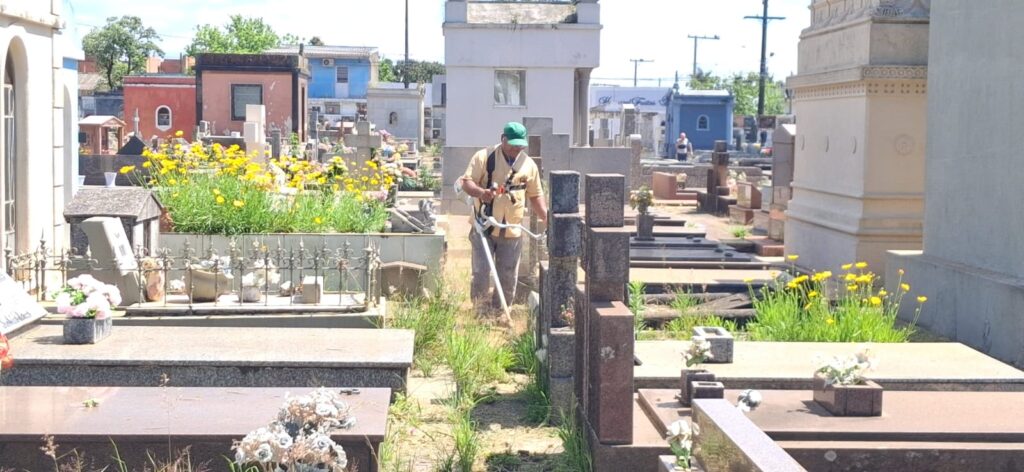 No mais antigo cemitério, o Municipal, muito mato ainda pode ser encontrado entre os túmulos / Fotos: Cacau Moraes