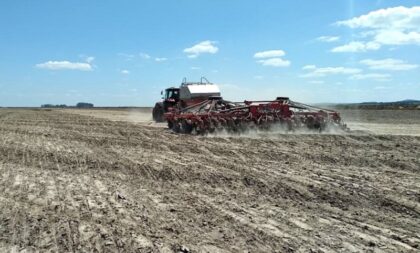 “Resiliência” é marca do produtor de arroz na Região