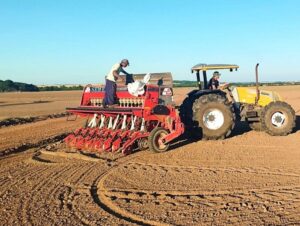 Região entra na segunda metade da semeadura do arroz