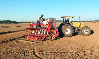 Região entra na segunda metade da semeadura do arroz