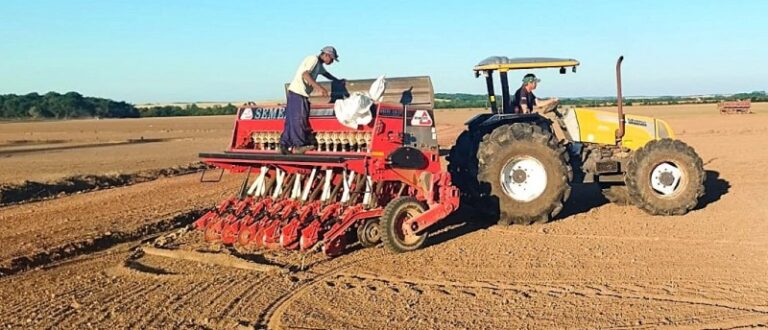 Região entra na segunda metade da semeadura do arroz