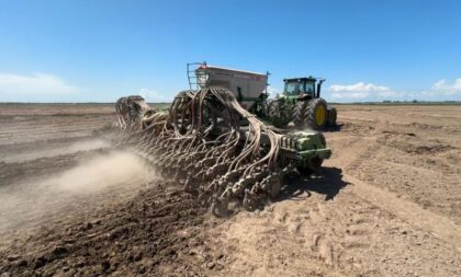 Semeadura do arroz: Região tem menor avanço no RS