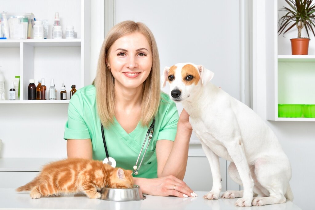 Mulher usando uma roupa de veterinário verde, escorada em uma mesa com um gato comendo ração e um cachorro sentado 