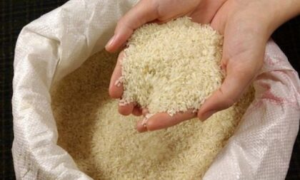 Programa da Receita Estadual busca autorregularizar arroz beneficiado