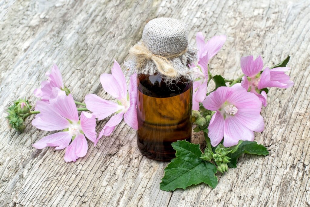 pote de vidro âmbar com líquido e flores de malva em volta 