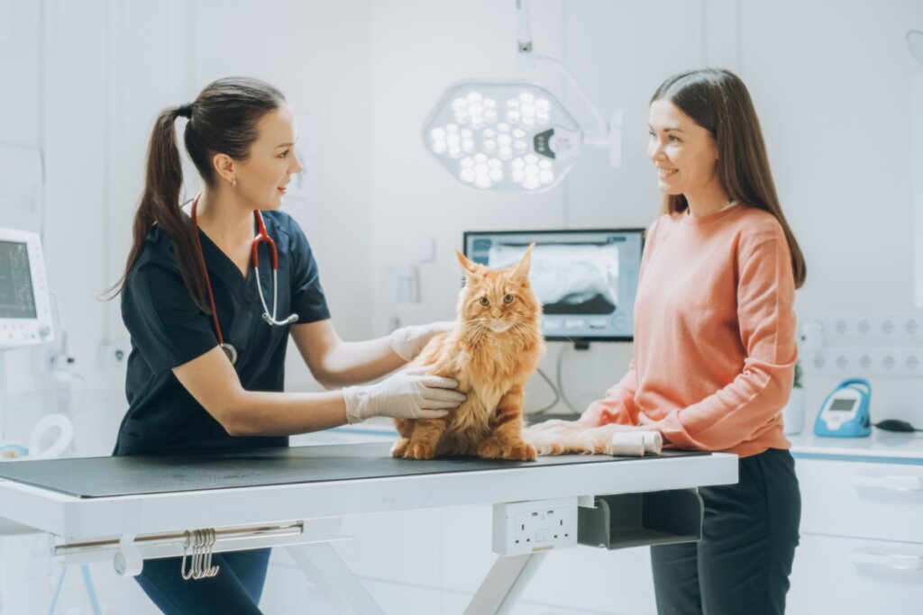 Veterinária avaliando gato no consultório ao lado da tutora do gato