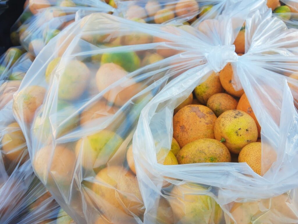 Dia de Doar em Cachoeira do Sul: Sesc e Companhia Tischler de Supermercados se engajam em ação voltada à doação de alimentos a comunidades em situação de vulnerabilidade social / Foto: Sesc/Divulgação