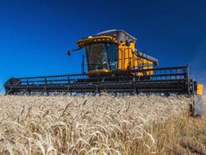 Produtores gaúchos de trigo poderão vender à Conab por AGF