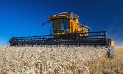 Produtores gaúchos de trigo poderão vender à Conab por AGF