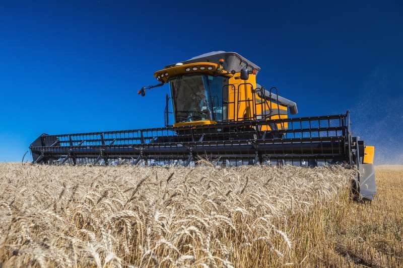 Venda de trigo por AGF: segundo o governo, produtor poderá comercializar com garantia de preço / Foto: Valtra/Divulgação