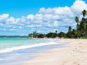 3 praias deslumbrantes para conhecer em Maragogi