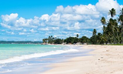 3 praias deslumbrantes para conhecer em Maragogi