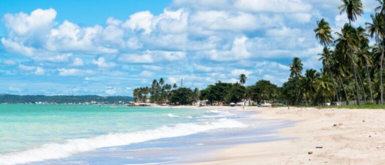 3 praias deslumbrantes para conhecer em Maragogi