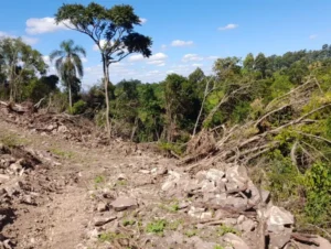 Operação Força Verde: Batalhão de Cachoeira do Sul flagra crimes ambientais