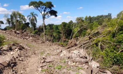 Operação Força Verde: Batalhão de Cachoeira do Sul flagra crimes ambientais