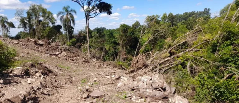 Operação Força Verde: Batalhão de Cachoeira do Sul flagra crimes ambientais