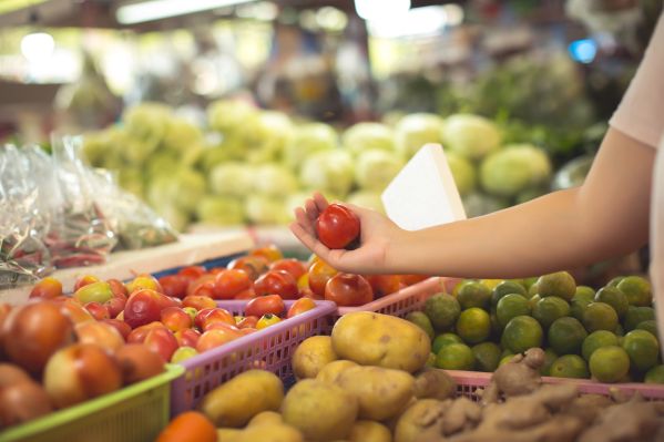 Produção de alimentos hortifrutigranjeiros tem isenção de ICMS renovada graças a uma série de medidas de ajustes fiscais / Foto: Divulgação