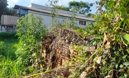 Alto do Amorim: condição de terreno de creche preocupa moradores