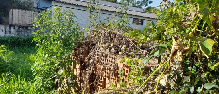 Alto do Amorim: condição de terreno de creche preocupa moradores