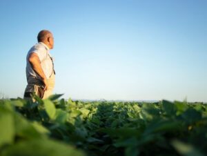 Produtor rural: setor de emissão de blocos divulga alerta em Novo Cabrais