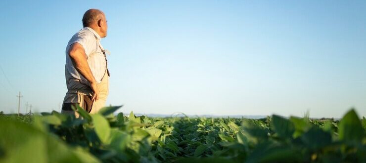 Produtor rural: setor de emissão de blocos divulga alerta em Novo Cabrais