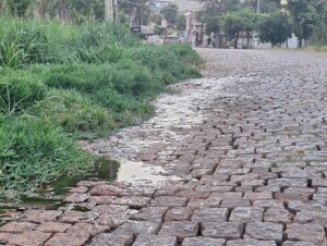 Rua Moron está tomada pelo mato e esgoto a céu aberto em frente à Pradozem