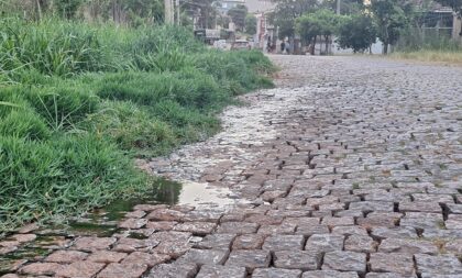 Rua Moron está tomada pelo mato e esgoto a céu aberto em frente à Pradozem