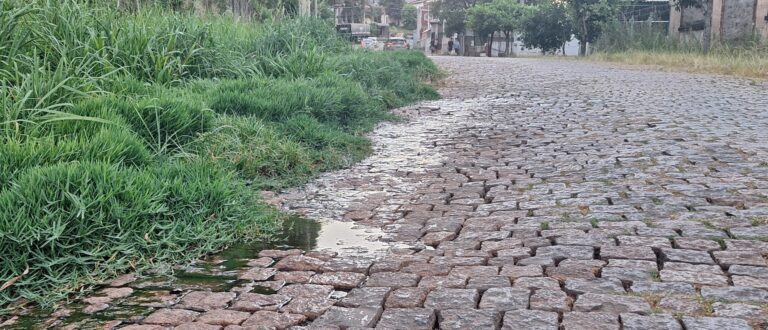 Rua Moron está tomada pelo mato e esgoto a céu aberto em frente à Pradozem