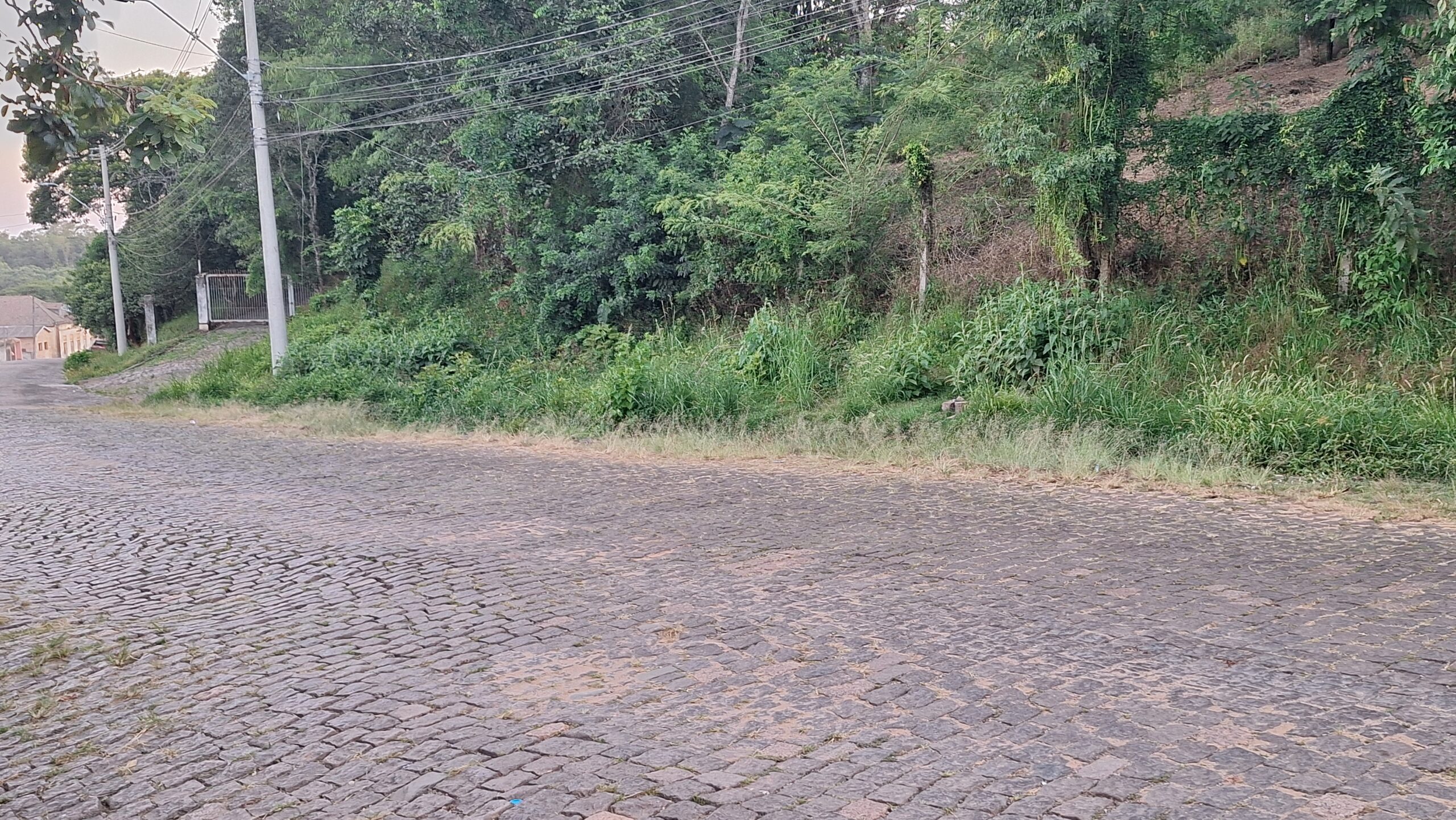 Situação da Rua Moron requer medidas por parte do poder público