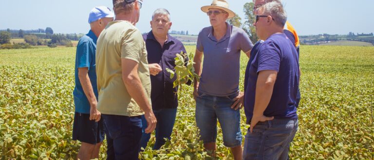 Vistorias devem embasar decreto de situação de Emergência em Pantano Grande