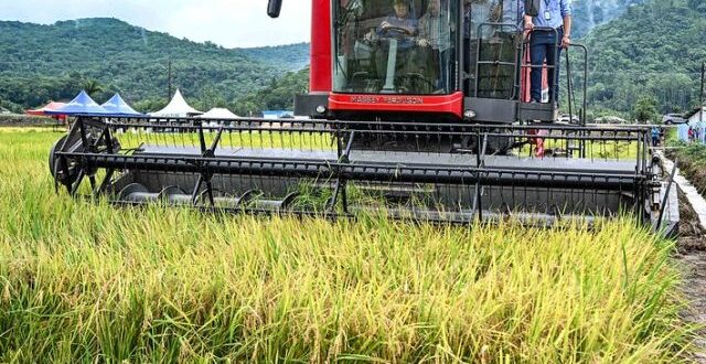 Executiva da Fenarroz presente na Abertura Oficial da Colheita do Arroz