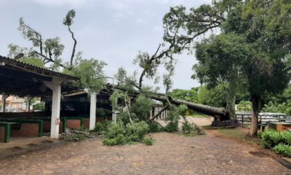 Coordenador da Defesa Civil detalha ações em decorrência dos estragos com chuva