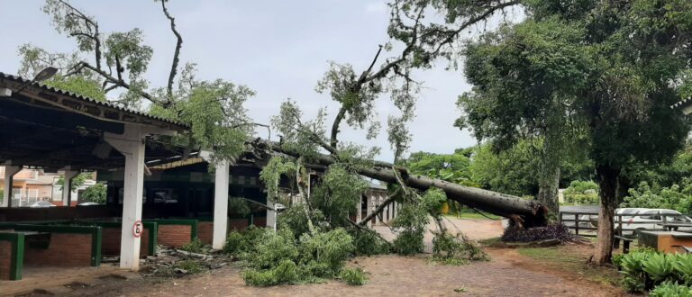 Coordenador da Defesa Civil detalha ações em decorrência dos estragos com chuva