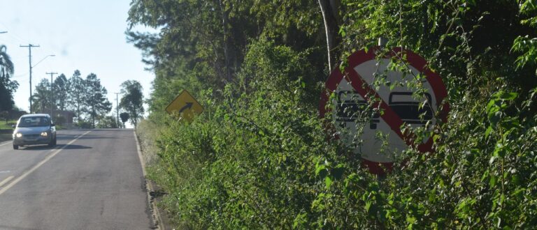 VRS-809: moradores do Passo da Areia cobram desobstrução de placas de sinalização