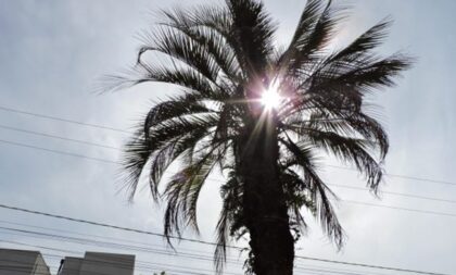 Temperatura chega perto dos 40°C em Cachoeira do Sul