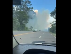 Incêndio em vegetação chama a atenção na Paineira