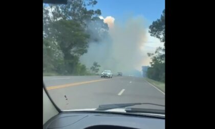 Incêndio em vegetação chama a atenção na Paineira