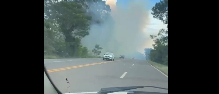 Incêndio em vegetação chama a atenção na Paineira