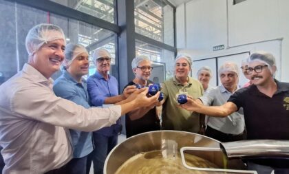 Colheita da Oliva é aberta com expectativa de safra maior que a do ano passado